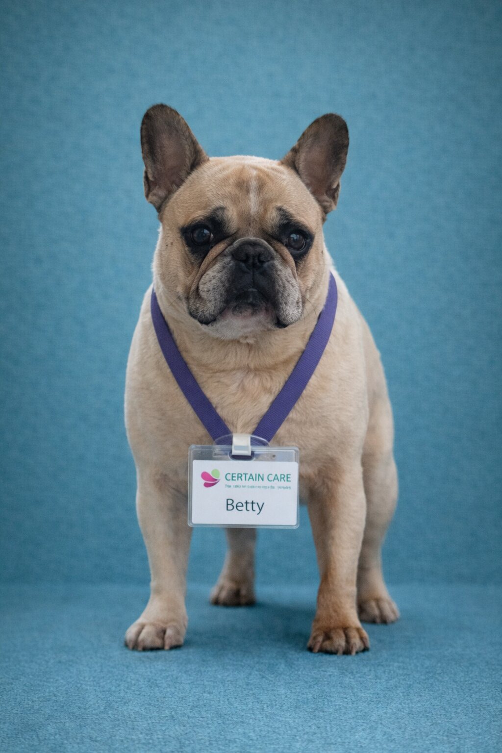 Betty, Scott's dog and unofficial Certain Care mascot